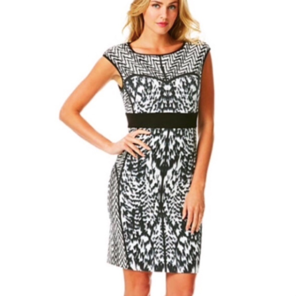 Laundry Shelli Segal 10 Sheath Dress Geographic